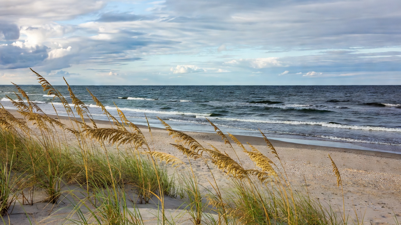 Liepaja Baltic coast beach with blue waters and sea oats waving in the wind